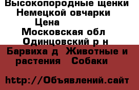 Высокопородные щенки Немецкой овчарки › Цена ­ 35 000 - Московская обл., Одинцовский р-н, Барвиха д. Животные и растения » Собаки   